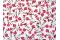 Fleurs Oeillets