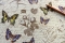 Papier d&eacute;coratif Rossi1931&copy; - Botanic & Butterflies
