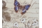 Papier d&eacute;coratif Rossi1931&copy; - Botanic & Butterflies