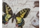 Papier d&eacute;coratif Rossi1931&copy; - Botanic & Butterflies