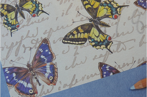 Papier d&eacute;coratif Rossi1931&copy; - Botanic & Butterflies