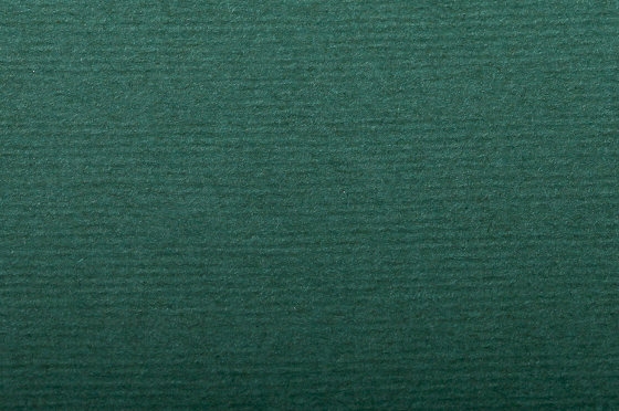 PAPIER INGRES Vert fon&ccedil;&eacute; 130g/m&sup2;