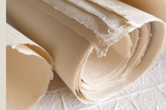 SEICHOSEN TOSA 46g/m&sup2; Natural 