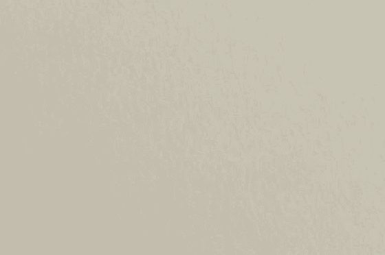 BIOTOPE GA-FS NATURAL 52 g/m&sup2;