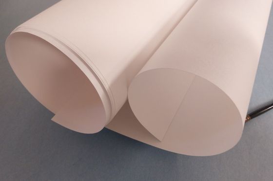 SHIN TORINOKO BLANC 120g/m&sup2; (Grand format)