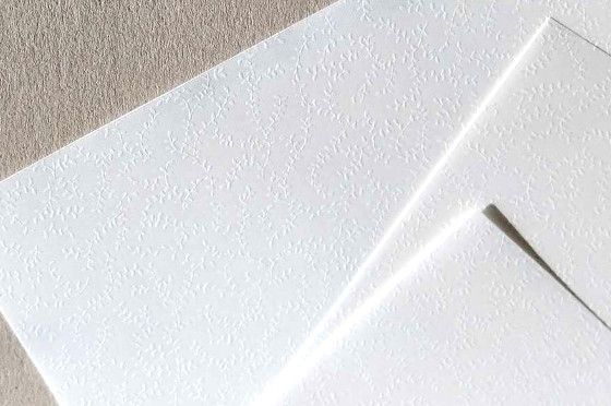 TANT SELECT 120g/m&sup2; Feuillage Blanc