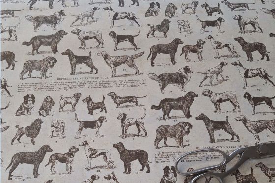 Papier d&eacute;coratif Rossi1931&copy; - Chiens