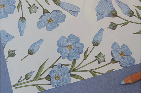 Papier florentin rossi1931&copy; - Fleurs bleues