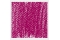 Pastel Tendre Rembrandt&reg; Rose