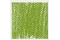 Pastel Tendre Rembrandt&reg; Vert cinabre clair