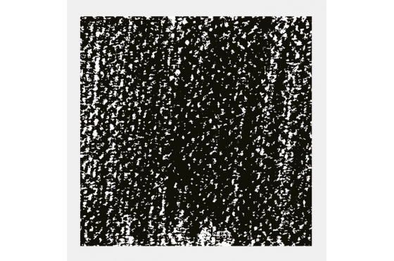 Pastel Tendre Rembrandt&reg; Gris vert