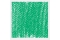 Pastel Tendre Rembrandt&reg; Vert de phtalo